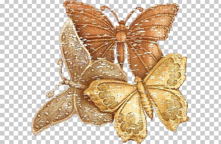 Monarch Butterfly Gold PNG, Clipart, Arthropod, Bom, Brush Footed Butterfly, Butterflies And Moths, Butterfly Free PNG Download