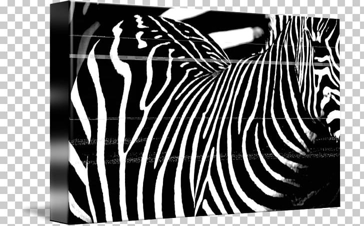 Zebra Brand Photography PNG, Clipart, Black, Black And White, Black M, Brand, Horse Like Mammal Free PNG Download