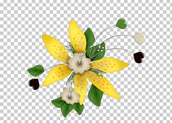 Computer Software PNG, Clipart, Bunga, Computer Software, Download, Flora, Flower Free PNG Download