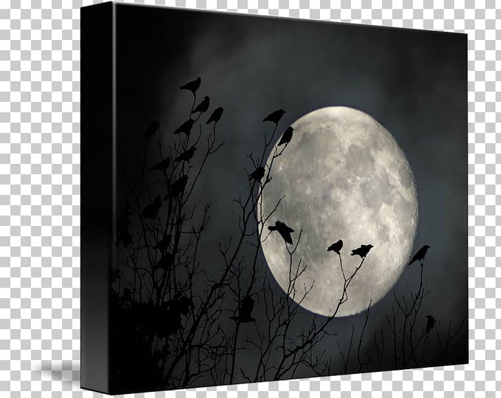 Kind Art Frames Poster Moon PNG, Clipart, Art, Black And White, Canvas, Com, Computer Free PNG Download