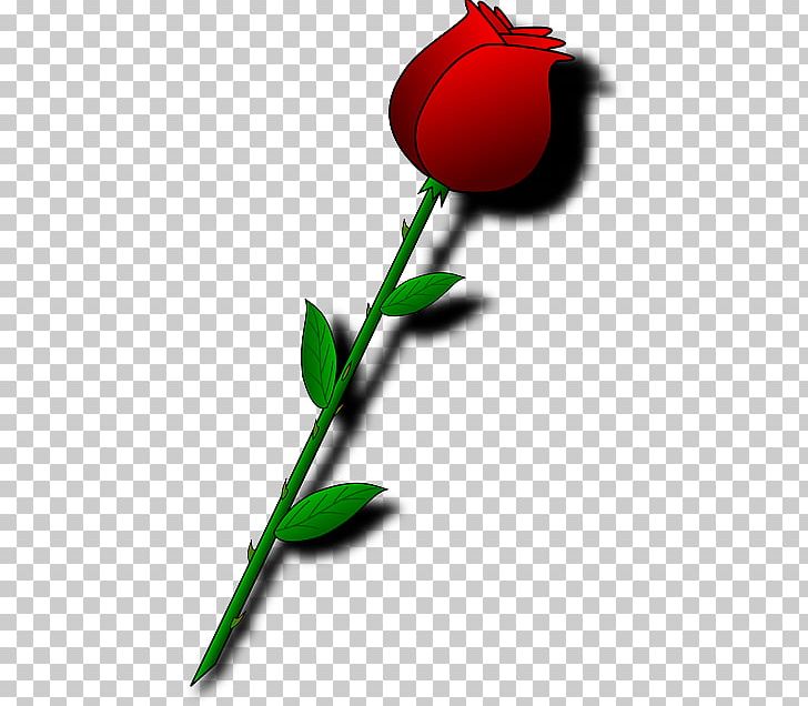 Rose Bud PNG, Clipart, Bud, Computer Icons, Cut Flowers, Desktop Wallpaper, Flora Free PNG Download