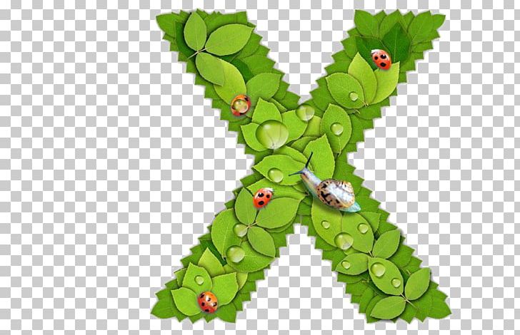 English Alphabet Letter X PNG, Clipart, Alphabet Letters, English, Environmental, Environmental Protection, Flowering Plant Free PNG Download