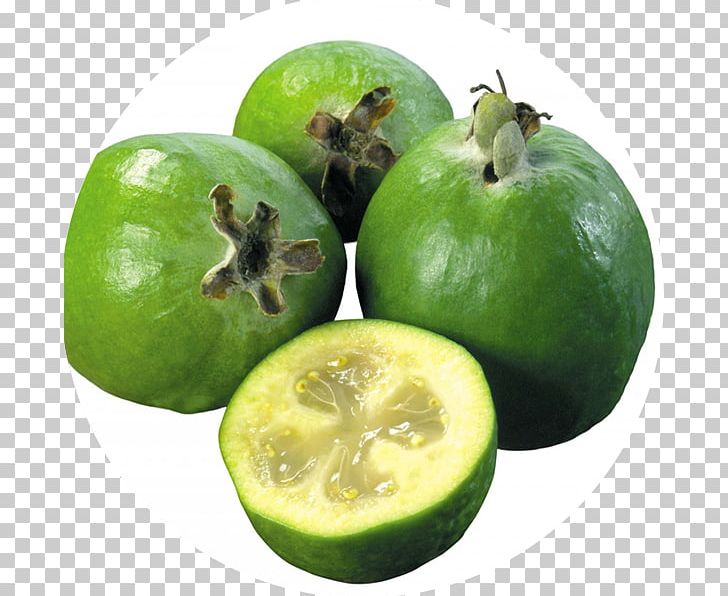 Feijoa Diabetes Mellitus Therapy Fruit Diet PNG, Clipart, Auglis, Berry, Citrus, Diabetes Mellitus, Diet Food Free PNG Download