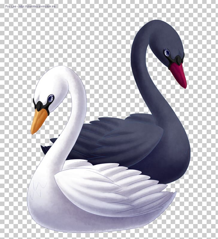 Princess Odette Goose Duck Black Swan Drawing PNG, Clipart, Anatidae, Animals, Ballet, Beak, Bird Free PNG Download