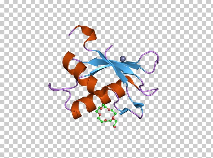 U2AF2 SnRNP RNA Splicing Splicing Factor Protein PNG, Clipart, Alternative Splicing, Animal Figure, Art, Computer Wallpaper, Ebi Free PNG Download