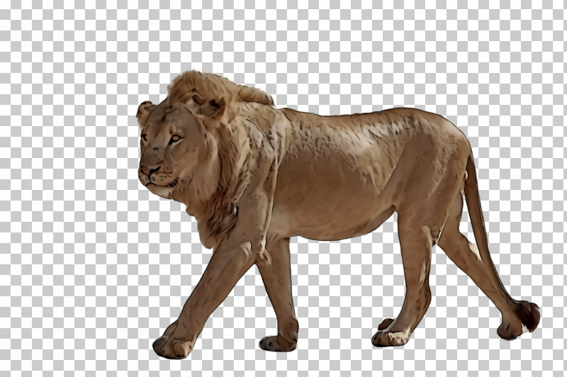 Lion Wildlife Animal Figure Snout PNG, Clipart, Animal Figure, Lion, Snout, Wildlife Free PNG Download