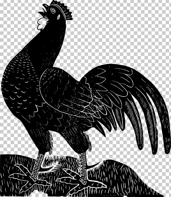 Ayam Cemani Leghorn Chicken Rooster PNG, Clipart, Animals, Beak, Bird, Bird Of Prey, Black Free PNG Download