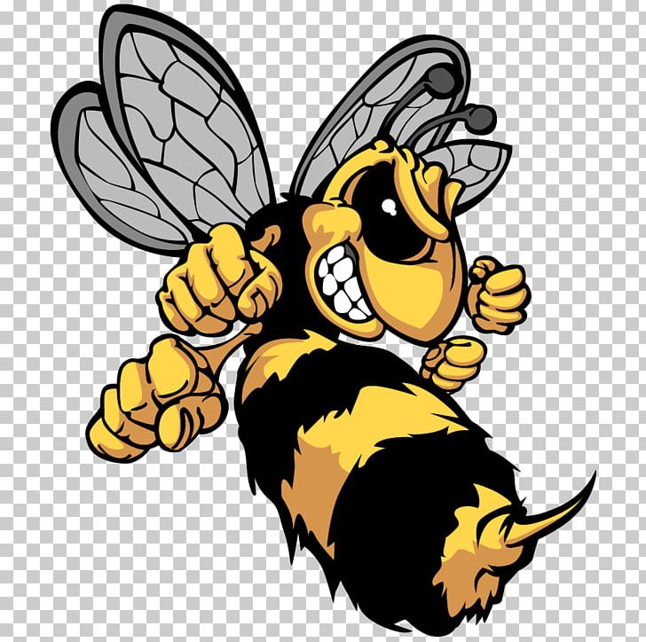 Bee Hornet Cartoon PNG, Clipart, Cartoon Character, Cartoon Eyes, Cartoons, Fauna, Fictional Character Free PNG Download