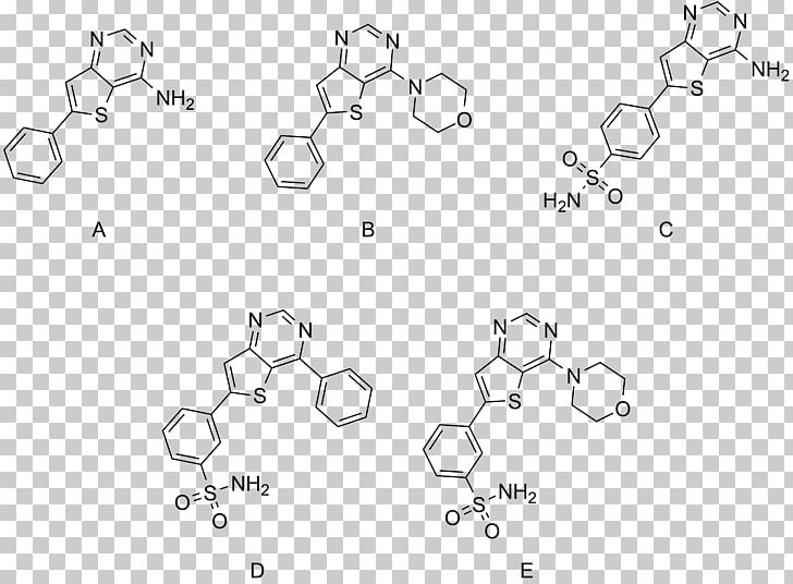 Buchwald–Hartwig Amination Ligand Phosphine XPhos Sonogashira Coupling PNG, Clipart, Angle, Area, Auto Part, Biphenyl, Black And White Free PNG Download