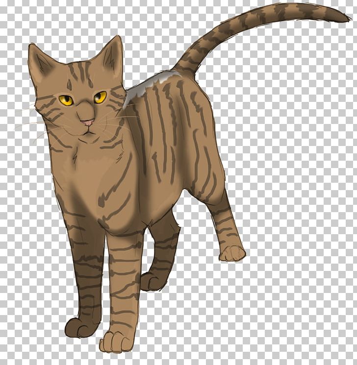 Cat Rising Storm Warriors ThunderClan Erin Hunter PNG, Clipart, American Wirehair, Animals, Carnivoran, Cat Like Mammal, Claw Free PNG Download