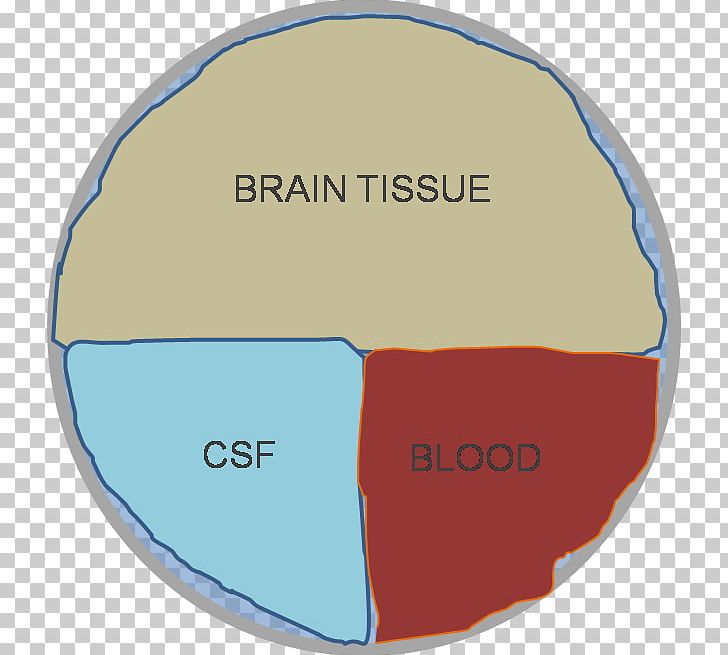 Doktryna Monro-Kelliego Cerebrospinal Fluid Blood Hypothesis Skull PNG, Clipart, Area, Blood, Brain, Brand, Cerebrospinal Fluid Free PNG Download