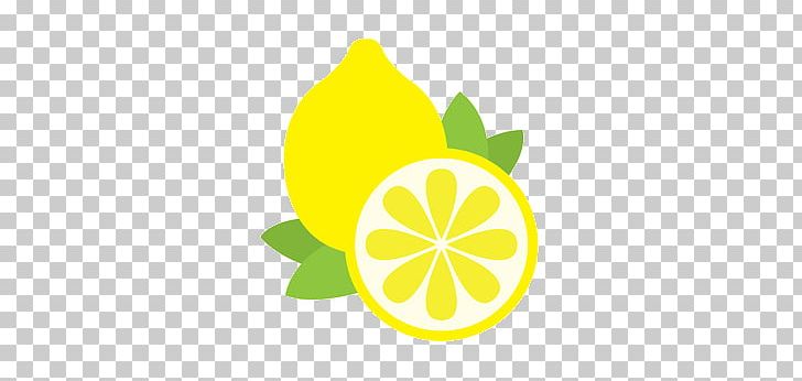 Lemon Fruit PNG, Clipart, Circle, Citric Acid, Citron, Citrus, Computer Icons Free PNG Download