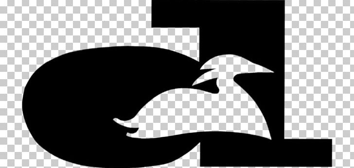Beak Goose Bird Cygnini Anatidae PNG, Clipart, Anatidae, Animals, Beak, Bird, Black And White Free PNG Download