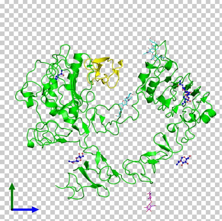 Epidermal Growth Factor Receptor Molecule ErbB PNG, Clipart, Cell, Cell Growth, Cell Surface Receptor, Cellular Differentiation, Circle Free PNG Download