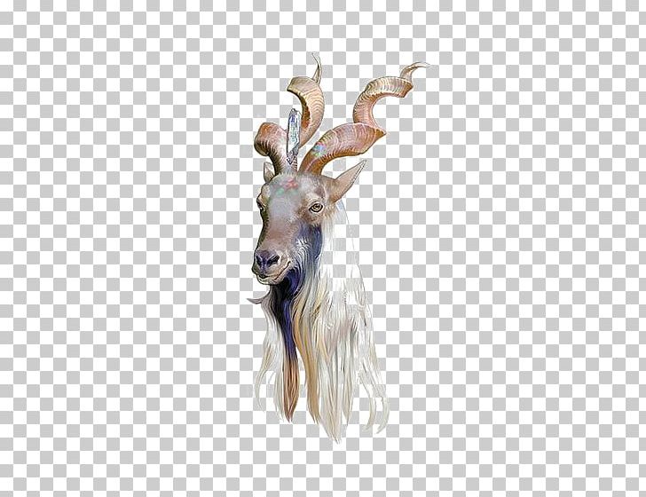 Goat Drawing Art Illustrator Illustration PNG, Clipart, Adobe Illustrator, Animal, Animals, Antelope, Antler Free PNG Download
