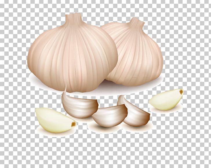 Vegetable Garlic Spice PNG, Clipart, Cartoon Garlic, Chili Garlic, Cooking, Euclidean Vector, Food Free PNG Download