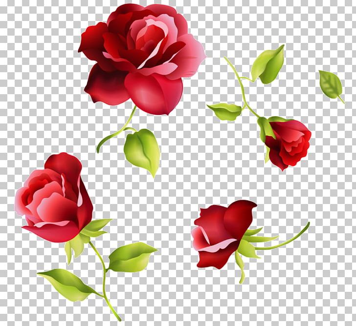 Beach Rose Valentine's Day Gift PNG, Clipart,  Free PNG Download