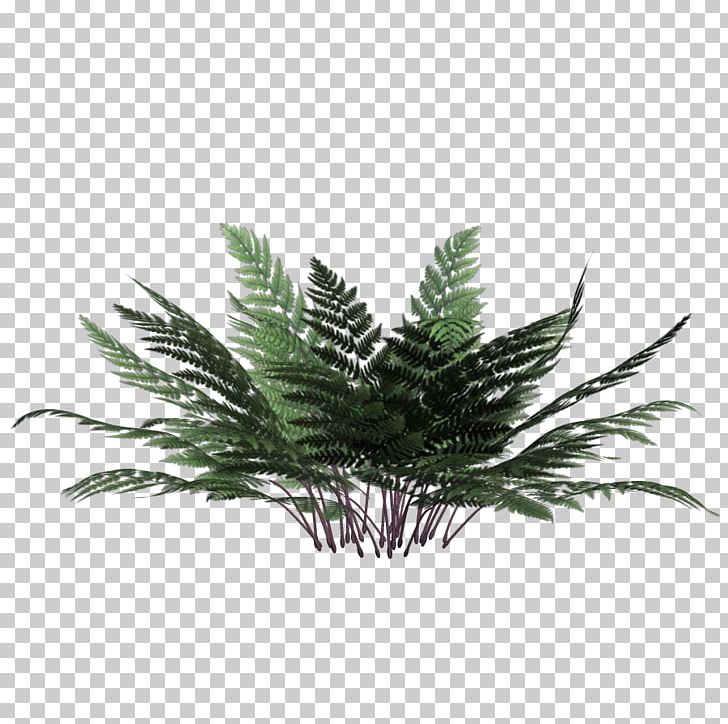 Plant PNG, Clipart, Artificial Grass, Burknar, Cartoon Grass, Creative Grass, Download Free PNG Download