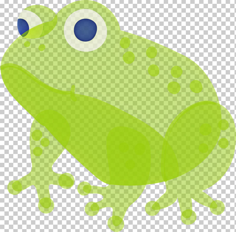 Frog PNG, Clipart, Bufo, Bullfrog, Frog, Green, Hyla Free PNG Download