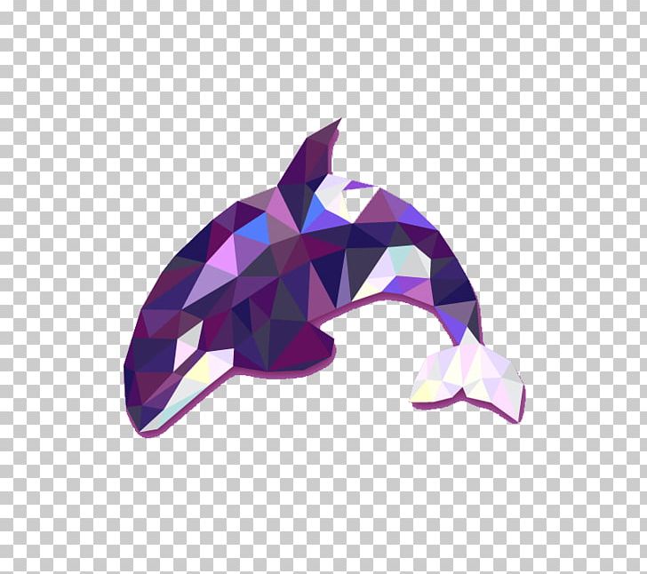 Baby Orca Whale Conservation Killer Whale Blue Whale PNG, Clipart, Abstract Background, Abstract Design, Abstract Lines, Abstract Pattern, Abstract Shapes Free PNG Download