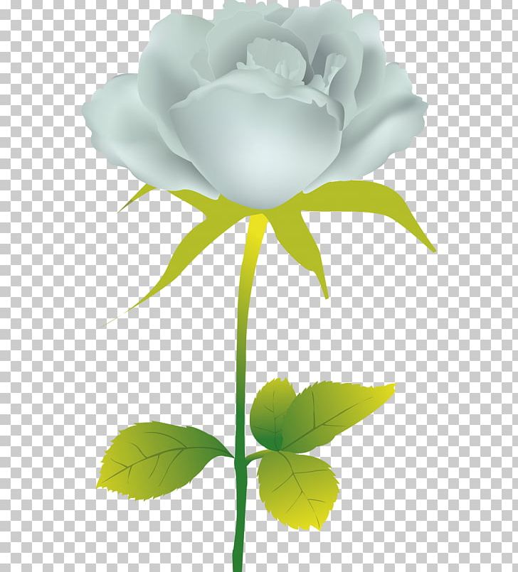 Garden Roses Cabbage Rose Flower Floral Design PNG, Clipart, Blume, Cicek, Cicek Resimleri, Computer, Computer Wallpaper Free PNG Download