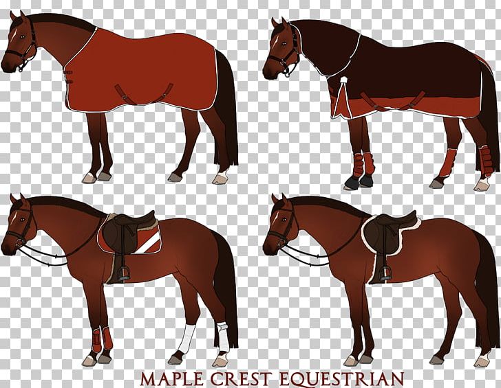 Mustang Stallion Foal English Riding Bridle PNG, Clipart, Bridle, Colt, English Riding, Equestrian, Equestrianism Free PNG Download
