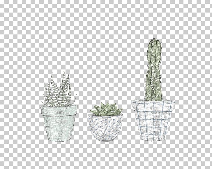 Cactaceae Illustrator Drawing Illustration PNG, Clipart, Apache Maven, Cactaceae, Cactus, Cartoon, Decoration Free PNG Download