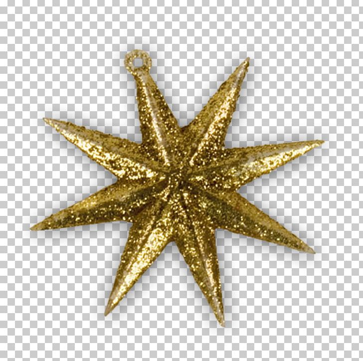 Star Christmas Ornament PNG, Clipart, Animals, Beautiful Starfish, Cartoon Starfish, Charm, Christmas Free PNG Download