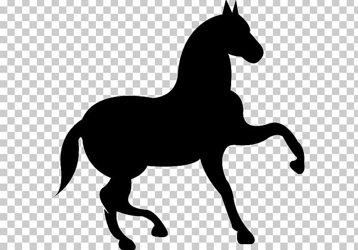 Morgan Horse Black Equestrian PNG, Clipart, Black, Black And White, Computer Icons, Dancing Animals, Encapsulated Postscript Free PNG Download