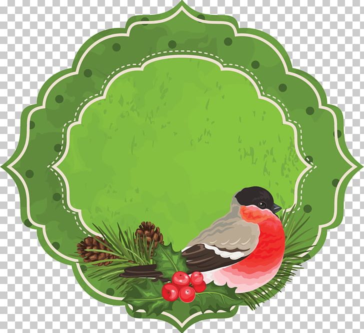 Old New Year Szczedriwka Holiday Malanka PNG, Clipart, Animation, Aquifoliaceae, Beak, Bird, Brauch Free PNG Download