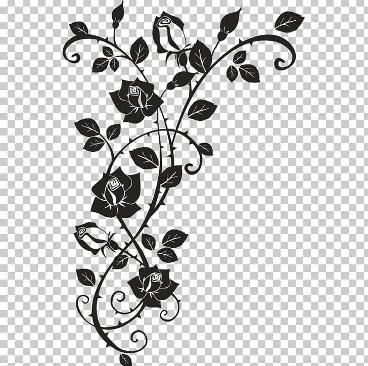 Thorns PNG, Clipart, Black And White, Branch, Flower, Flowers, Fruit Free PNG Download