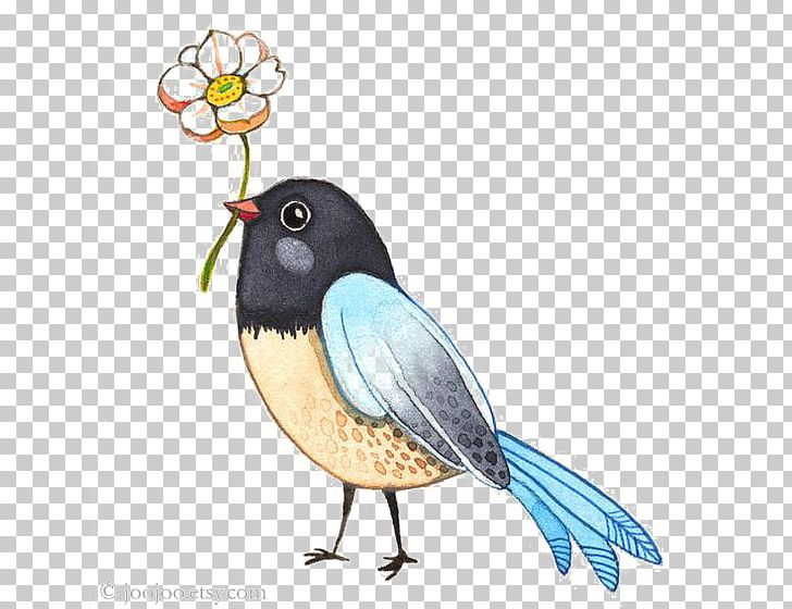 Bird Columbidae Domestic Pigeon Feather PNG, Clipart, Animals, Beak, Bird, Bird Flight, Birds Free PNG Download