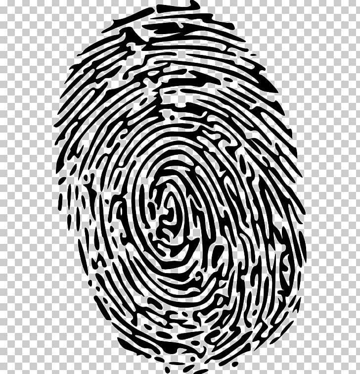 Fingerprint PNG, Clipart, Black And White, Circle, Computer Icons, Download, Drawing Free PNG Download
