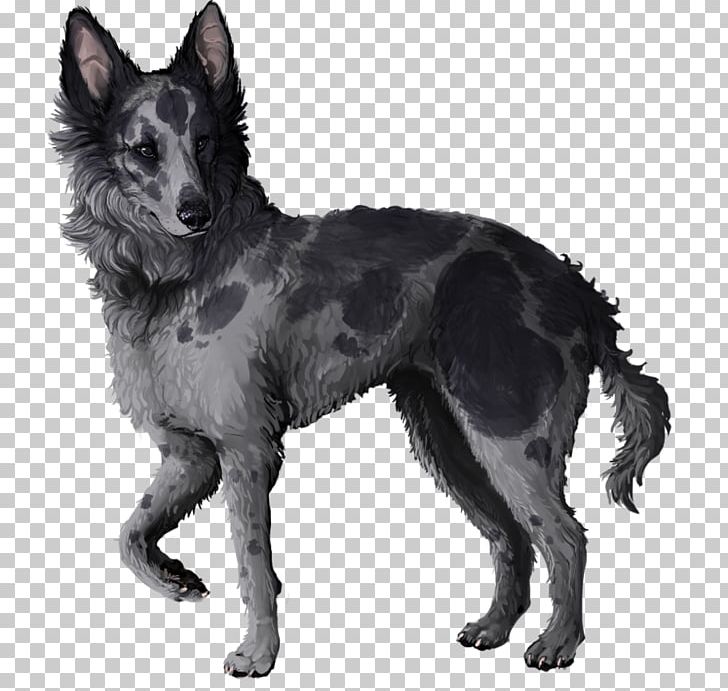 Mudi Tervuren Shiloh Shepherd Dog Kunming Wolfdog Kuvasz PNG, Clipart, American Kennel Club, Animal, Black And White, Breed, Breed Group Dog Free PNG Download