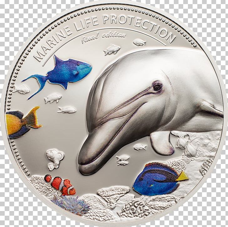 Silver Coin Palau Proof Coinage PNG, Clipart, Beak, Bullion, Coin, Coin Set, Commemorative Coin Free PNG Download