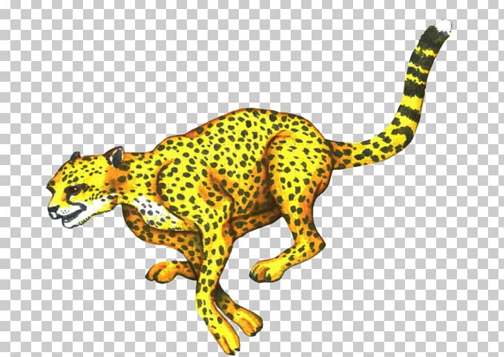 Cheetah Leopard Jaguar Cat Terrestrial Animal PNG, Clipart, Animal, Animal Figure, Animals, Big Cats, Carnivoran Free PNG Download