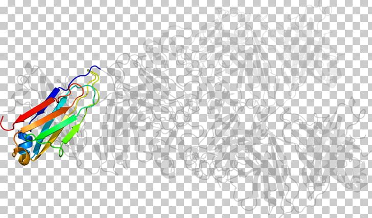 Line PNG, Clipart, Area, Art, Branch, Design M, Graphic Design Free PNG Download