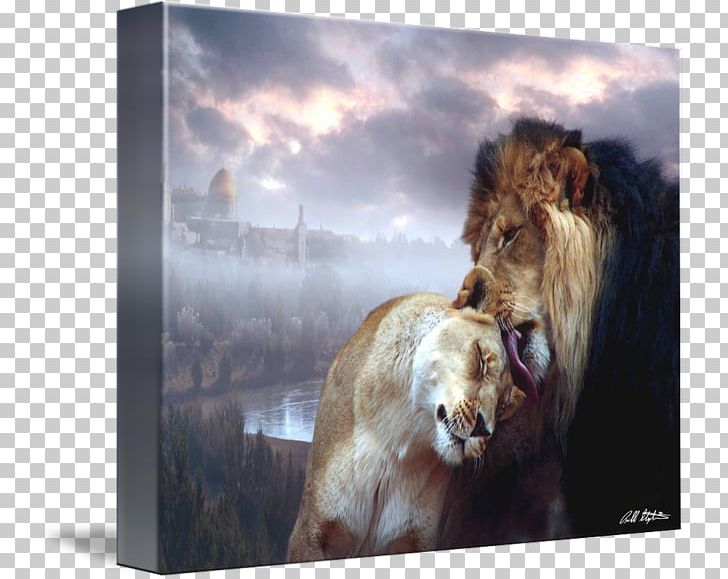 Lion Stock Photography Art Wildlife PNG, Clipart, Art, Big Cats, Carnivoran, Cat Like Mammal, Fauna Free PNG Download