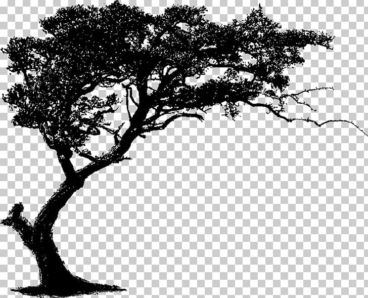 Branch Others Monochrome PNG, Clipart, Black And White, Branch, Clip Art, Community, Download Free PNG Download