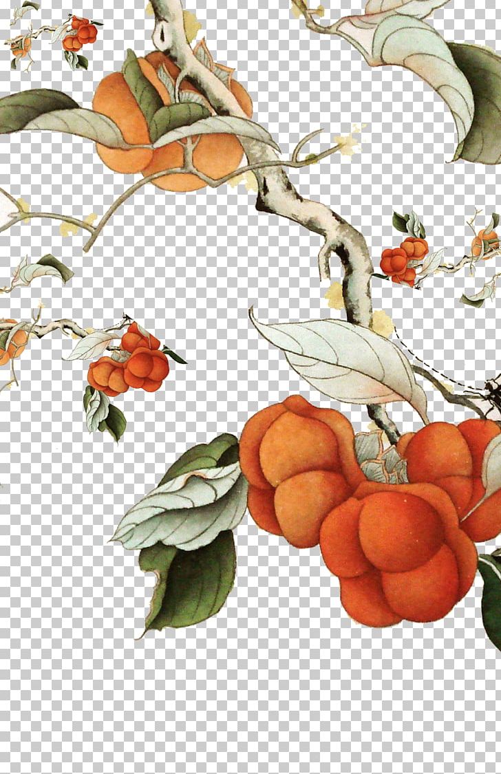 Persimmon Marriage Ink Wash Painting PNG, Clipart, Apple, Chinese, Chinese Style, Christmas Tree, Diospyros Free PNG Download
