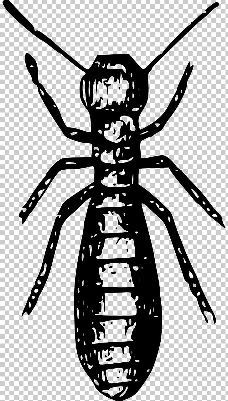 Termite Insect Ant Pest Control PNG, Clipart, Animals, Ant, Arthropod, Artwork, Black And White Free PNG Download