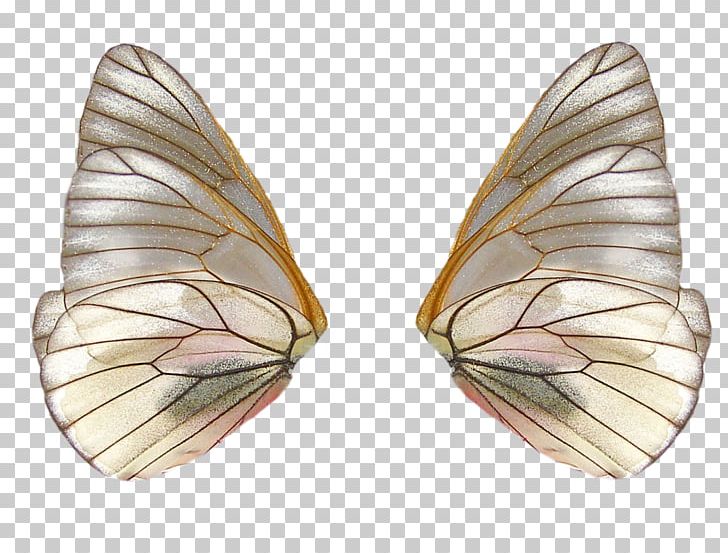 Fairy PNG, Clipart, Adobe Flash, Butterfly, Computer Icons, Computer Software, Download Free PNG Download