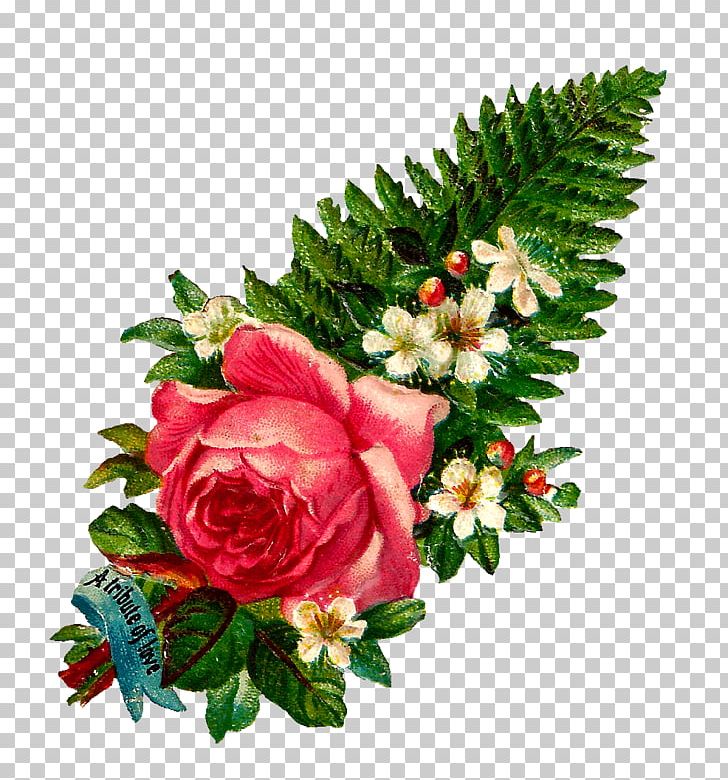 Garden Roses Cut Flowers Cottage Garden PNG, Clipart, Artificial Flower, Cottage Garden, Cut Flowers, Floral Design, Floristry Free PNG Download