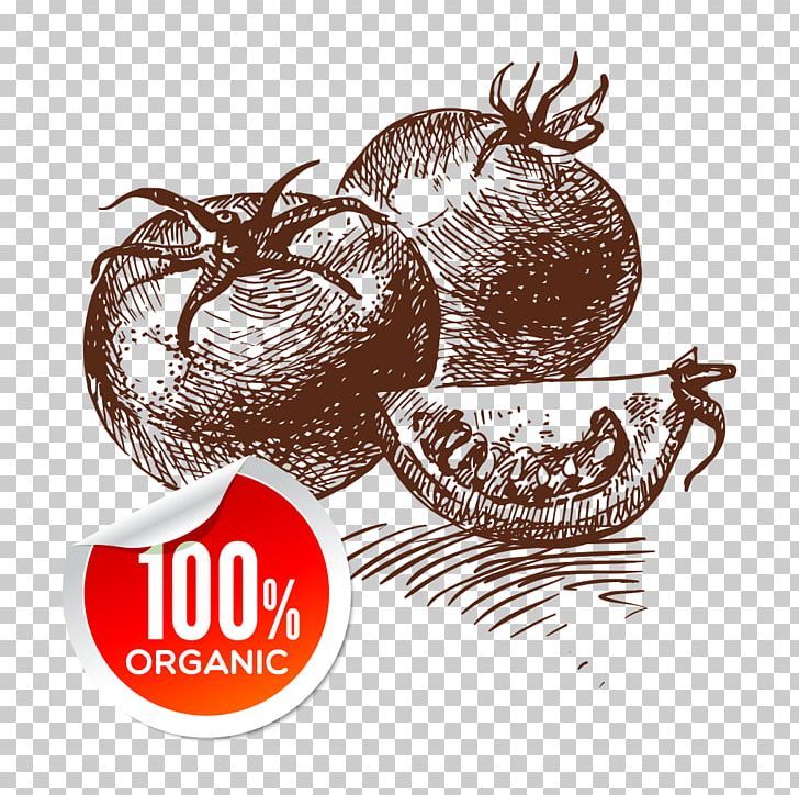 Tomato Vegetarian Cuisine Vegetable Drawing PNG, Clipart, Cartoon, Cartoon Vegetables, Cherry Tomato, Chocolate, Cup Free PNG Download