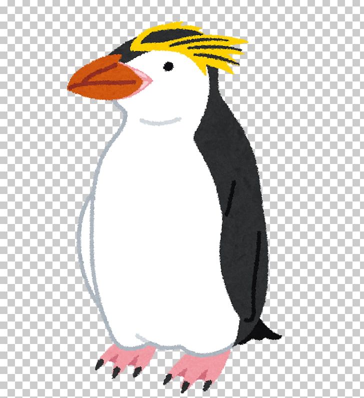 Adélie Penguin Gentoo Penguin Southern Rockhopper Penguin Otaru Aquarium PNG, Clipart, Adelie Penguin, Animals, Beak, Bird, Chinstrap Penguin Free PNG Download