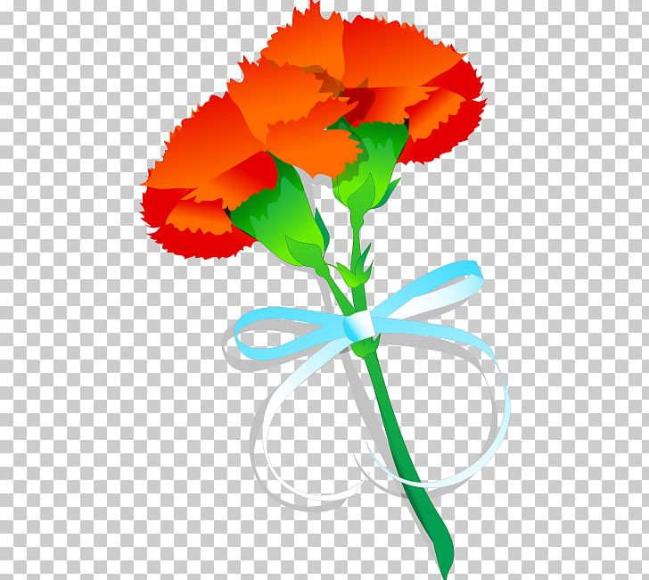 Carnation PNG, Clipart, Artwork, Cartoon, Flora, Floral Design, Flower Free PNG Download