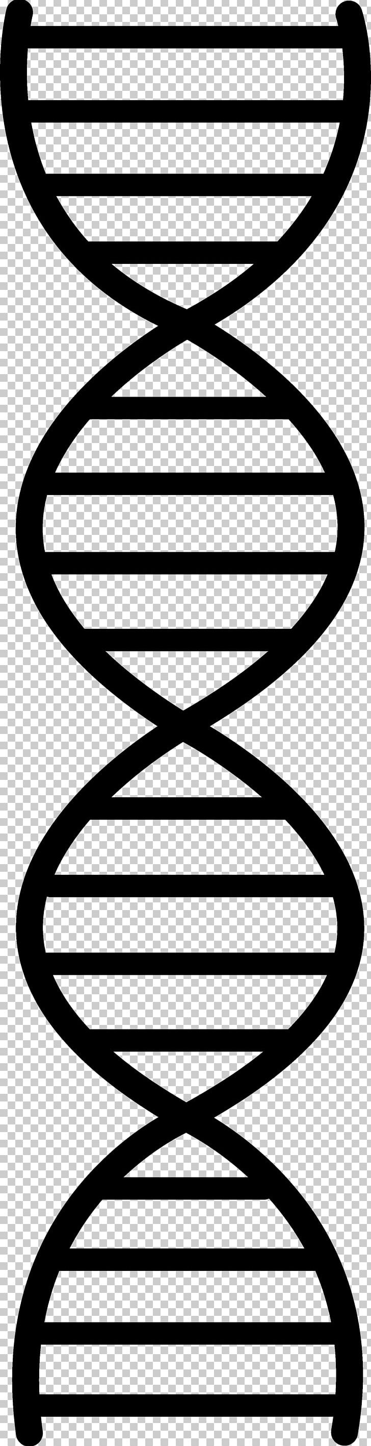 DNA Replication Nucleic Acid Double Helix PNG, Clipart, Black And White, Circle, Clip Art, Dna, Dna Helix Clipart Free PNG Download