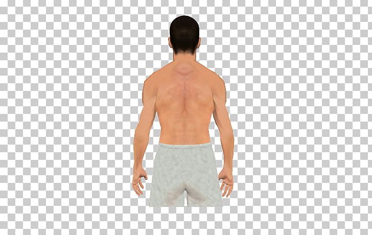 Hip Shoulder Latissimus Dorsi Muscle Teres Major Muscle Teres Minor Muscle PNG, Clipart, Abdomen, Active Undergarment, Anatomy, Arm, Back Free PNG Download
