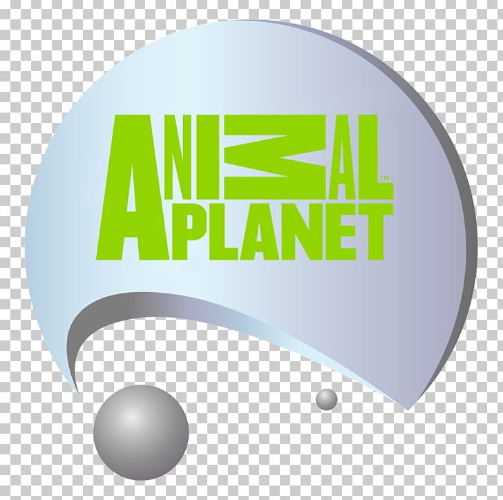 Logo Brand Schoolagenda Font PNG, Clipart, Animal Planet, Brand, Green, History, Logo Free PNG Download