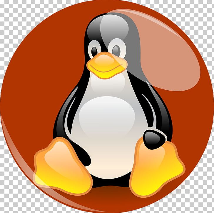 Tux Racer Penguin Red Hat Software Red Hat Enterprise Linux PNG, Clipart, Beak, Bird, Centos, Fedora, Flightless Bird Free PNG Download